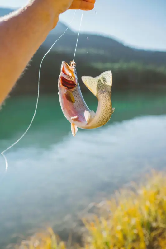 fishing